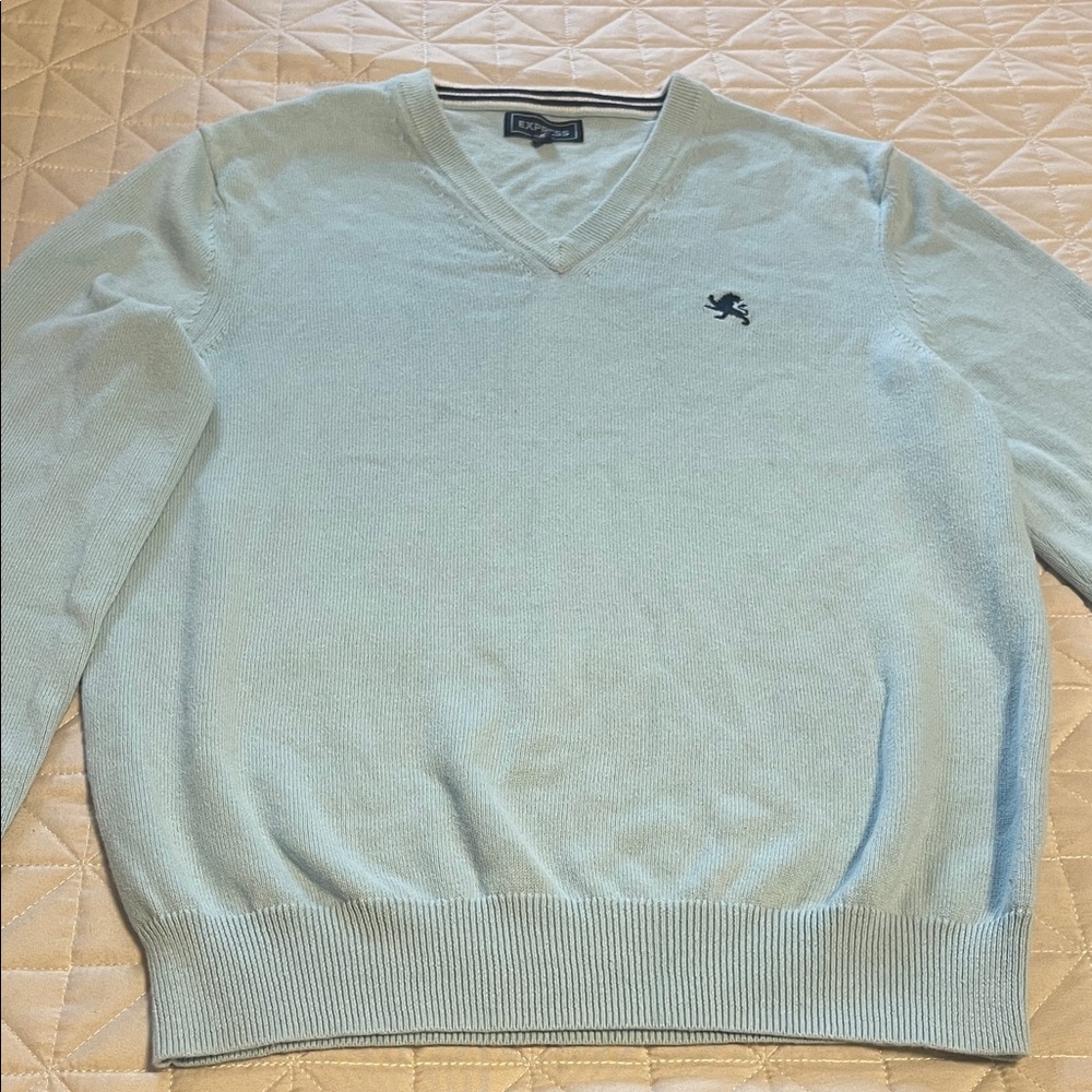 Express Light Blue V-Neck Sweater